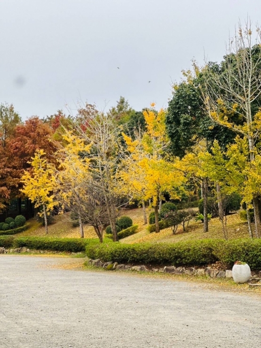 圖9